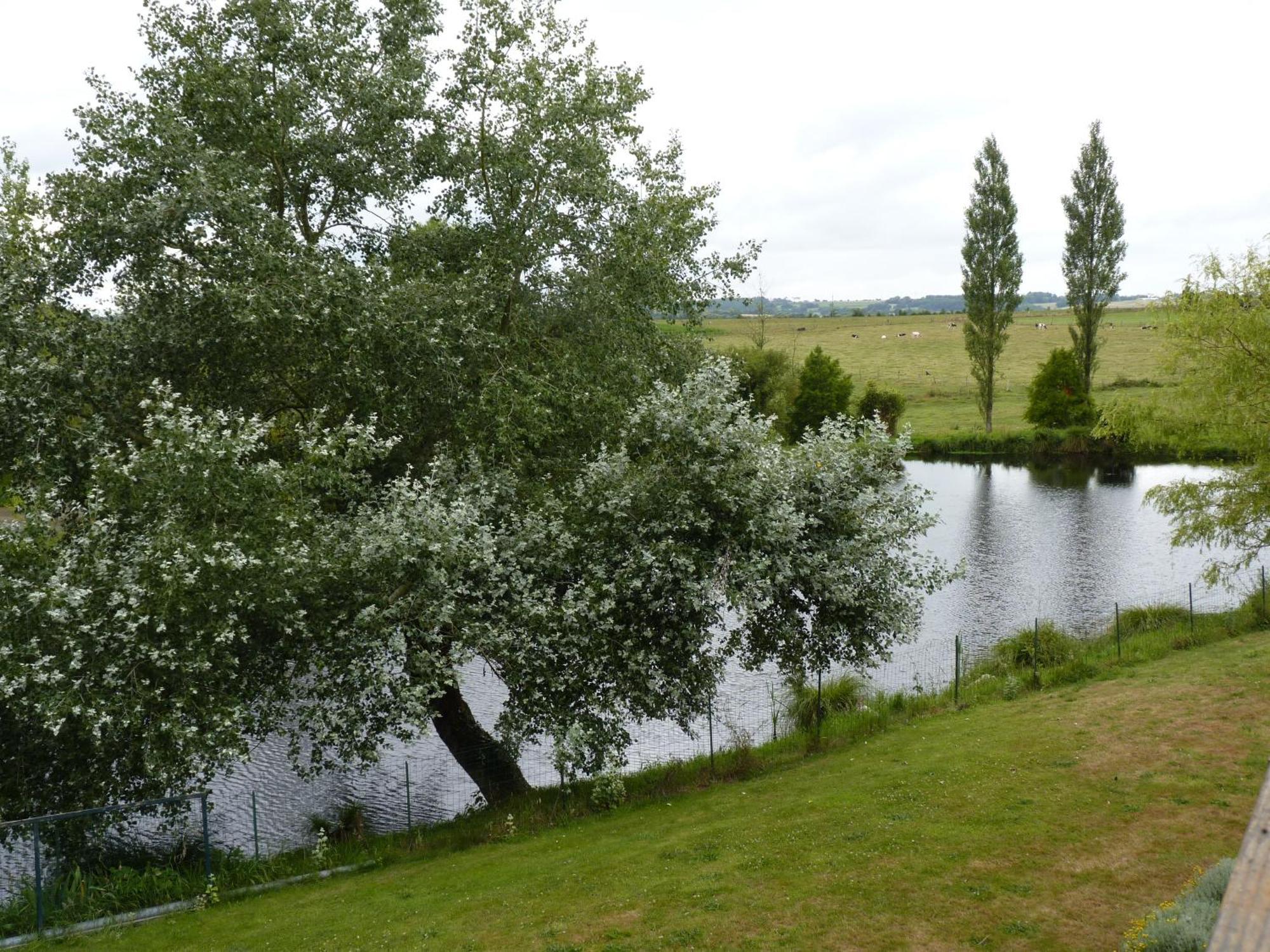 Gites De La Haie Plouégat-Moysan Eksteriør billede